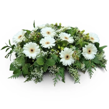 Καζαμπλάνκα λουλούδια- αστέρι Λουλούδι Παράδοση
