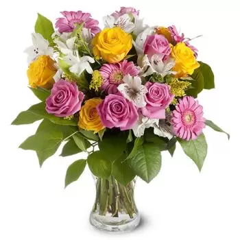 flores Abakán floristeria -  Belleza impactante Ramos de  con entrega a domicilio