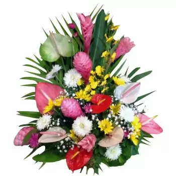 Simpson Bay cvijeća- Egzotično Cvjetni buket/aranžman