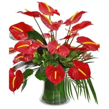 Барбадос цветы- Красный огонь Цветок Доставка