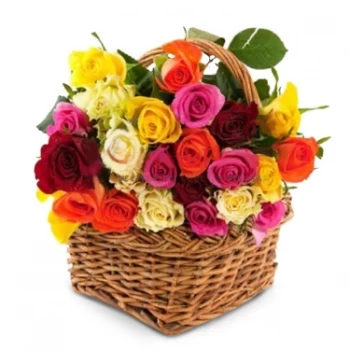 Thành Phuố Uông Bí blomster- Fargerike kronblader Blomst Levering