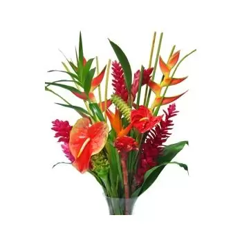 St. Lucia çiçek- Tropikal günbatımı Çiçek Teslimat