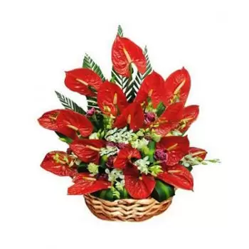 St. Lucia rože- Sreče Cvet Dostava