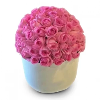 La Gi blomster- Rosa kronblader Blomst Levering