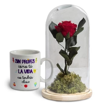 fleuriste fleurs de Palencia- Détail unique Fleur Livraison