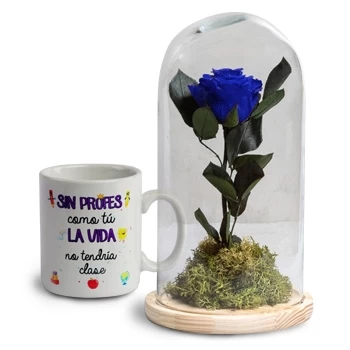 Πουέρτο ντε Σάντα Μαρία λουλούδια- Ευγνωμοσύνη Λουλούδι Παράδοση