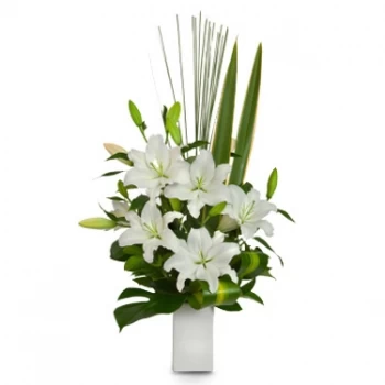 Kwang Binh květiny- Čistota Květ Dodávka