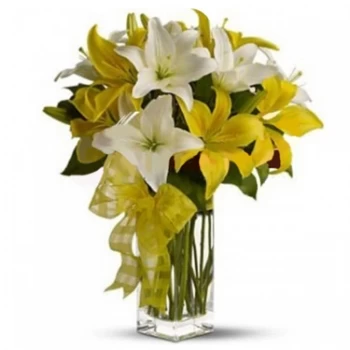 Thành Phuố Uông Bí blomster- Ambisiøs Blomst Levering