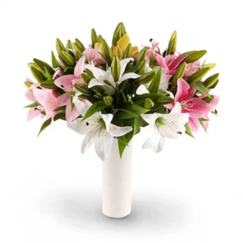 Thái Bình blomster- Glamorøs Blomst Levering