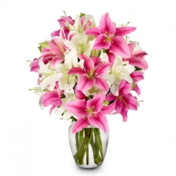 Venmarknh Yên květiny- Smějte se květinám Květ Dodávka