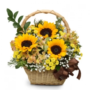 Kon Tum flowers  -  Prettiest Blast Flower Delivery