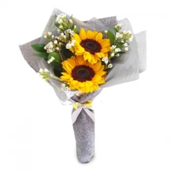 Haiphong flowers  -  Love Birds Flower Delivery