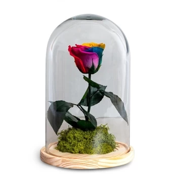 flores de Ripollet- dia memorável Flor Entrega
