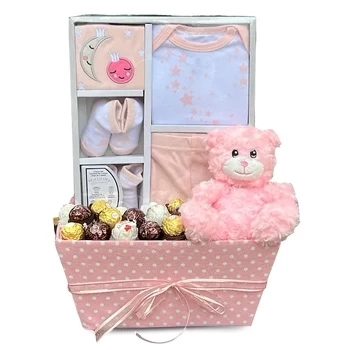 Canada flowers  -  Newborns Gift Basket  Delivery