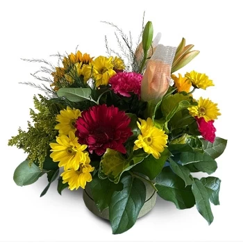 بائع زهور بربادوس- فرحة نابضة بالحياة زهرة التسليم