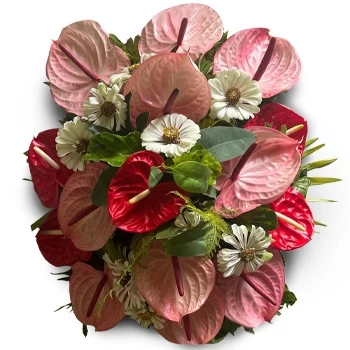 heiliger Jakob Blumen Florist- Ewige Erinnerung Blumen Lieferung