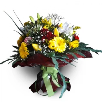 بائع زهور اجوستوس- مزيج مبتكر زهرة التسليم