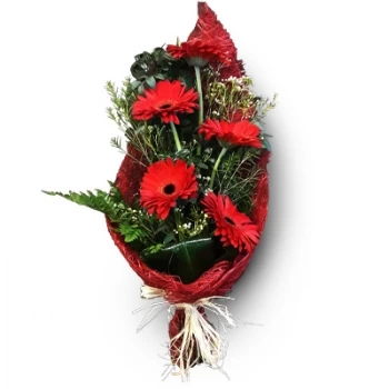Parede flowers  -  Pure Feelings Flower Delivery