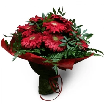 بائع زهور الكاريا رويفا- لك زهرة التسليم