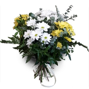 بائع زهور كاركافيلوس- احساس جيد زهرة التسليم
