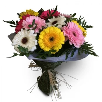بائع زهور أشادا دوس جوديوس- زاهى الألوان زهرة التسليم