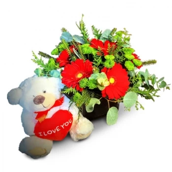 بائع زهور الكاريا- الحب الدافئ زهرة التسليم