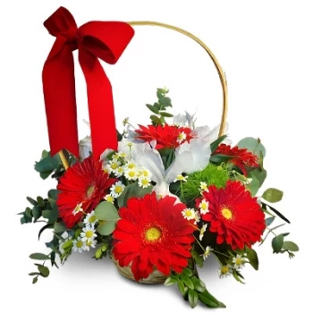 بائع زهور أغواس بواس إي فورليس- صنع من فضلك زهرة التسليم