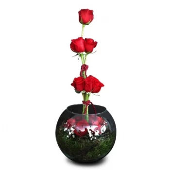 بائع زهور أغروبوم- الحب مملوء زهرة التسليم