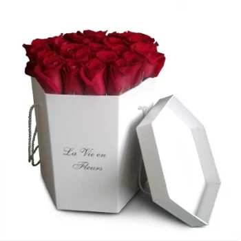אלבופיירה פרחים- ורד תשוקה פרח משלוח