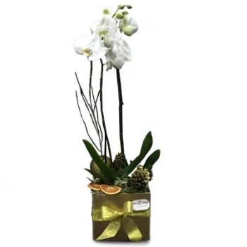 Cascais online Blomsterhandler - Skønhed og delikatesse Buket