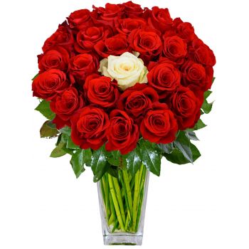 Oryol Du Und Ich 50 Rote Rosen Und 1 Weisse Rose Blumenlieferungen Oryol Online Blumenhandler Oryol