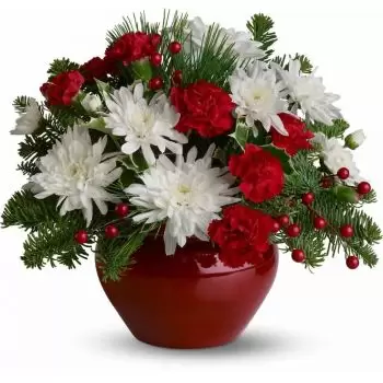 flores Santa Gertrudis floristeria -  Belleza escarlata Ramos de  con entrega a domicilio