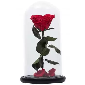 Lebanon-virágok- Elvarázsolt Rose Virágkötészeti csokor