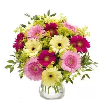 بائع زهور Digluna Tijo- فرحة الربيع زهرة التسليم
