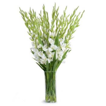 💐 FLOWER DELIVERY CUBA - ONLINE FLORIST CUBA