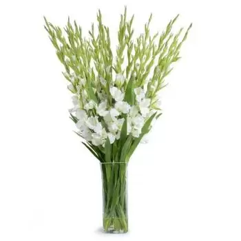 Calabazas kwiaty- Świeża letnia miłość Kwiat Dostawy