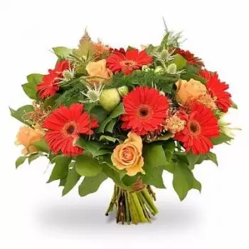 Avernas-le-Bauduin Blumen Florist- Roter Traum Blumen Lieferung