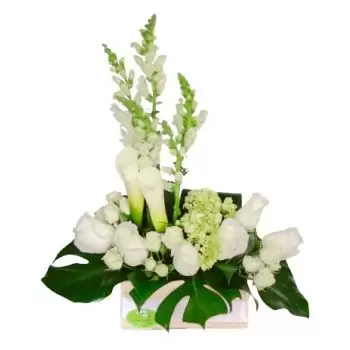 flores Curacao floristeria -  Spray de ataúd tranquilo y rústico Ramo de flores/arreglo floral