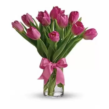Boghauri květiny- Růžový sen Květ Dodávka