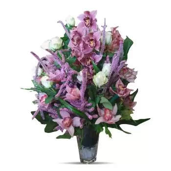 fiorista fiori di Belgrado- Sogno orientale dell'orchidea viola Bouquet floreale