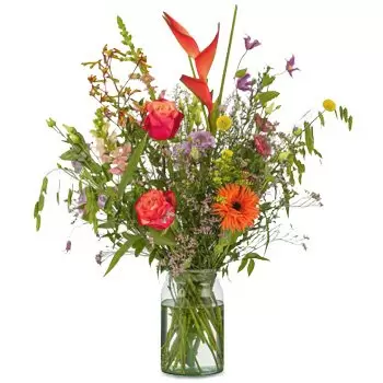 بائع زهور برجن أوب زوم- تمنياتنا بالشفاء العاجل زهرة التسليم