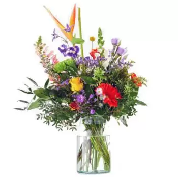 fiorista fiori di Bontebok- Guarisci presto Fiore Consegna