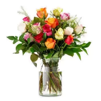 קופנהגן פרחים- זר ורדים צבעוניים פרח משלוח