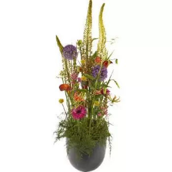Ουτρέχτη λουλούδια- Πολυτελής πολύχρωμη ρύθμιση λουλουδιών 