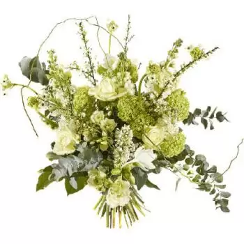 Coevorden-Klinkenvier květiny- Kytice Svádění Květ Dodávka