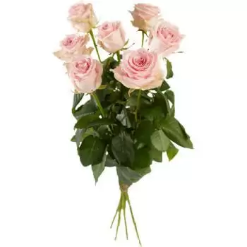 Bierum blomster- Enkelt Pink Roser Blomst Levering