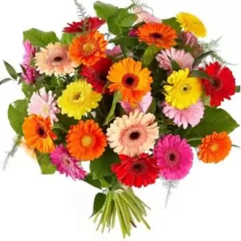 flores de Xiaogang- Gerbera colorida Flor Entrega