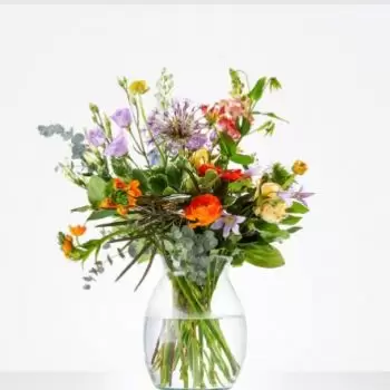 Biervliet פרחים- זר ברים מלאים פרח משלוח