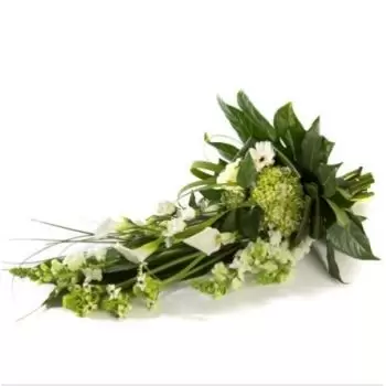 بائع زهور أيندهوفن- باقة الجنازة البيضاء زهرة التسليم