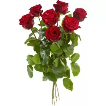 Bern květiny- Velké květované červené růže Květ Dodávka